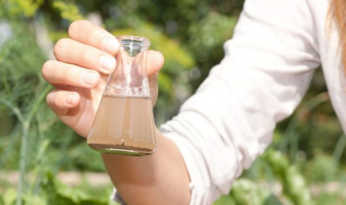 chemical taste